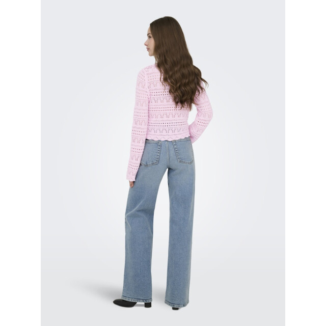 Only Onlelke life ls pullover knt noos licht 4219.61.0010 large