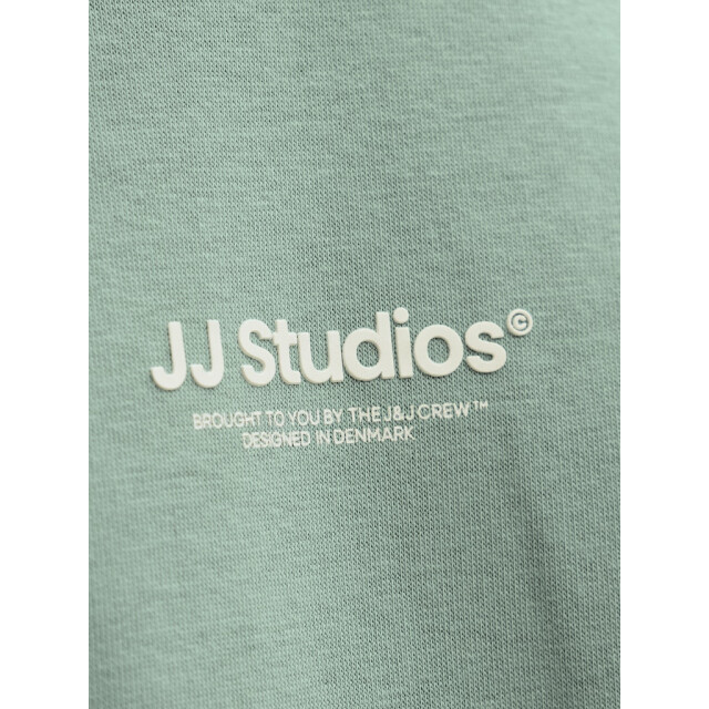 Jack & Jones Jjesoho sweat crew neck noos oud 5209.23.0005 large