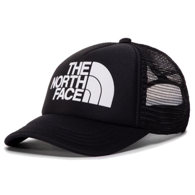 The North Face Skate cap NF0A3SIIKY41 large