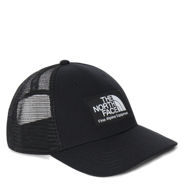 The North Face Skate cap NF0A5FXA large