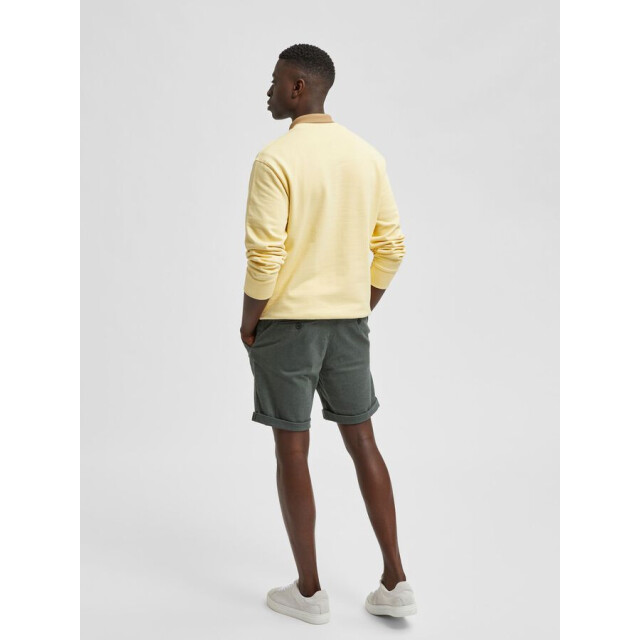 Selected Casual short heren 16083843 large