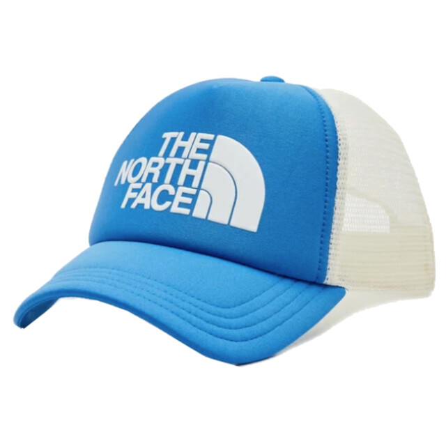 The North Face Skate cap NF0A3FM3LV61 large