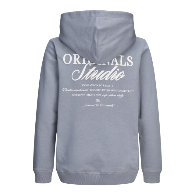 Jack & Jones Jornorrebro typo back sweat hood sn jnr raf 3209.33.0010 large