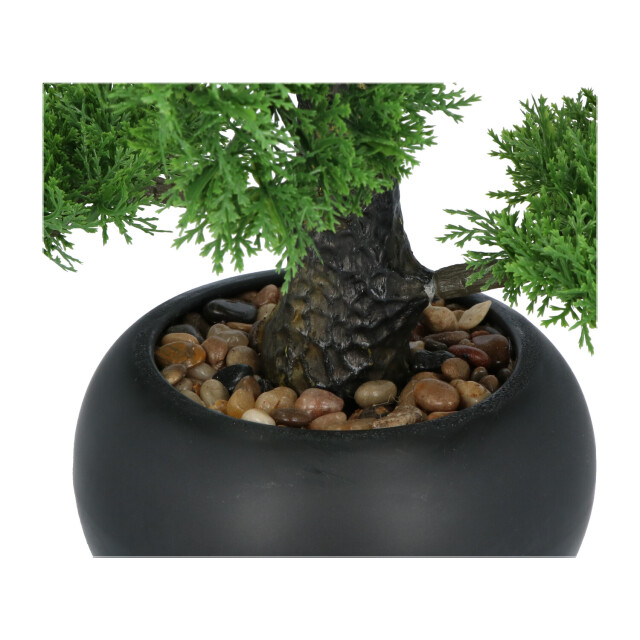Kopu ® kunstplant bonsai ceder 48 cm met zwarte pot bonsai boompje 2612715 large