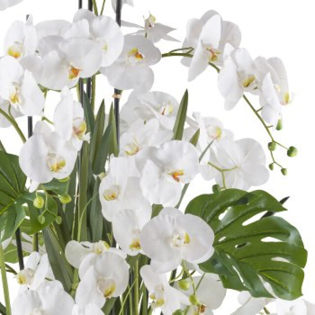 Kopu ® phalaenopsis xl 140 cm real touch kunstplant in pot 3485223 large