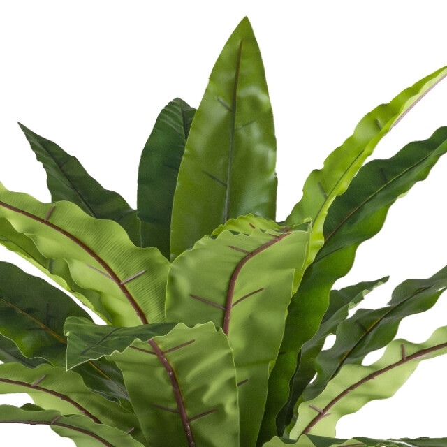 Kopu ® kunstplant asplenium 24 blad 105 cm met metaal standaard 3485232 large