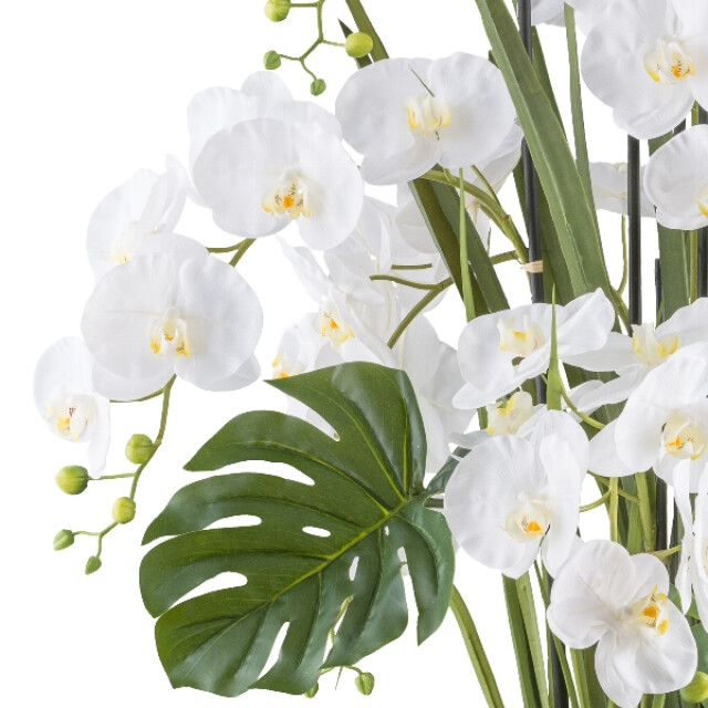 Kopu ® phalaenopsis xl kunstorchidee 120 cm real touch - 3485221 large
