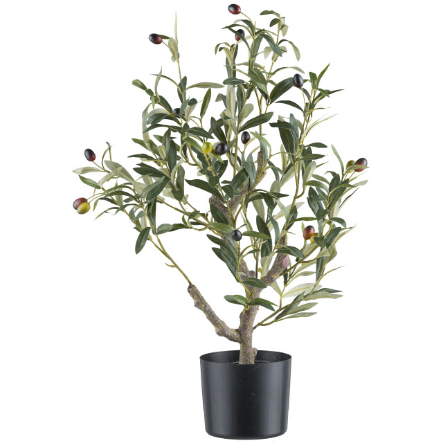 Kopu ® kunstplant olijfboom 70cm met pot zwart/ 3485236 large