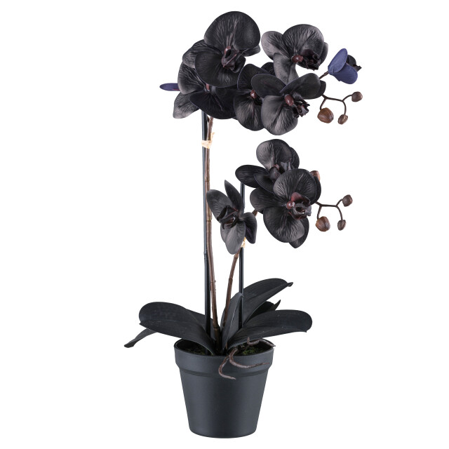 Kopu ® kunstplant phalaenopsis orchidee 10 real touch bloemen - 3485225 large