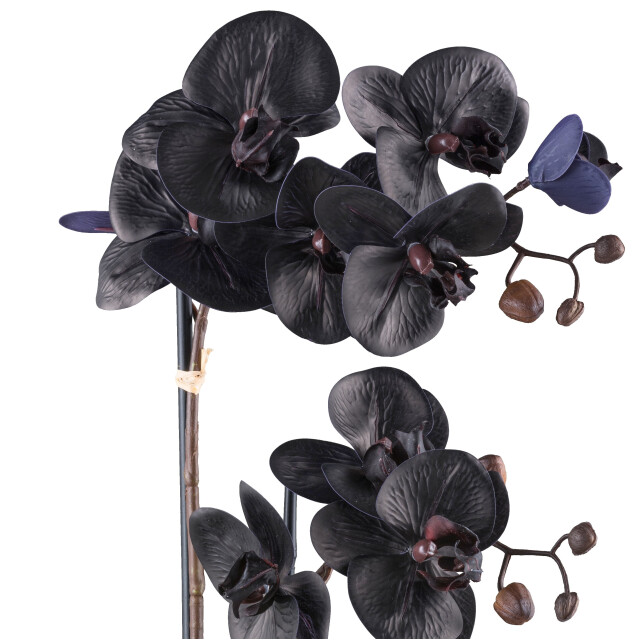 Kopu ® kunstplant phalaenopsis orchidee 10 real touch bloemen - 3485225 large