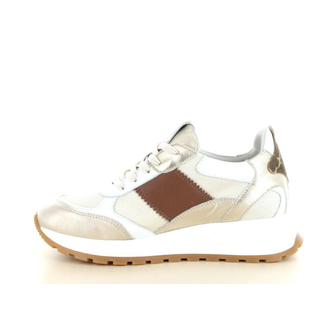 Piedi Nudi 237.97.454 Sneakers Goud 237.97.454 large