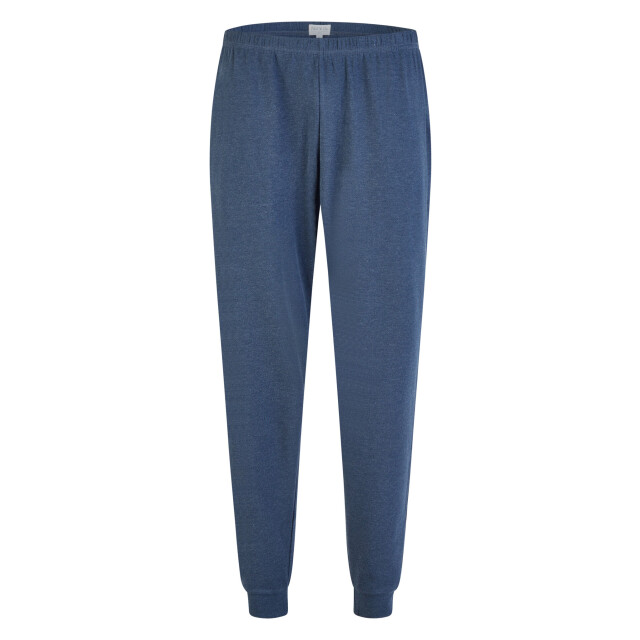 Phil & Co Heren winter pyjama set lang interlock blauw gestreept PH-6160-02 large