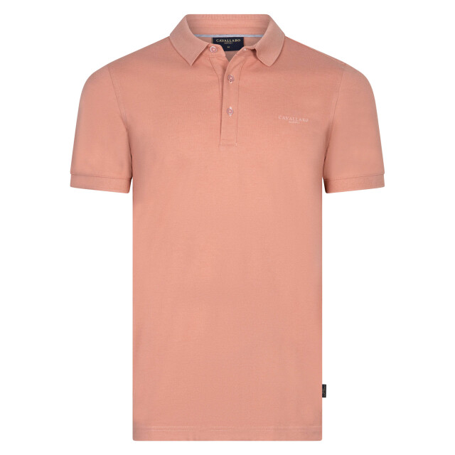 Cavallaro Cavallaro polo 109034-001-L large
