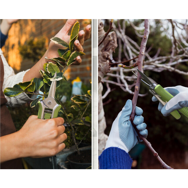 4goodz Set 2 delig snoeischaar en takkenschaar roestvrijstaal - 3487092 large