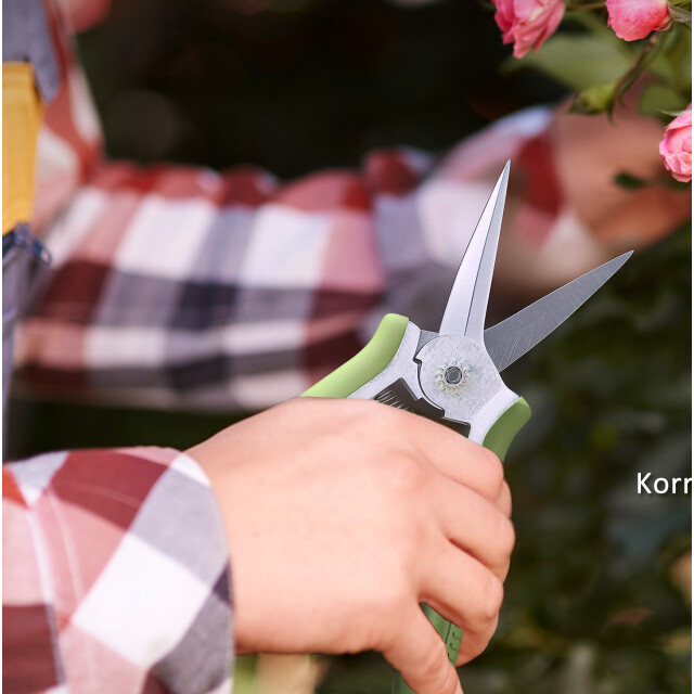 4goodz Set 2 delig snoeischaar en takkenschaar roestvrijstaal - 3487092 large