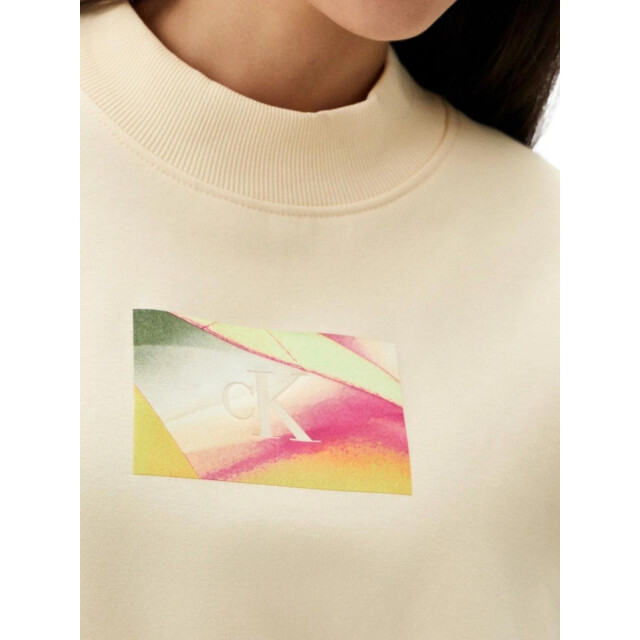 Calvin Klein Dames logo oversized sweatshirt UTNA1281_vanilla large
