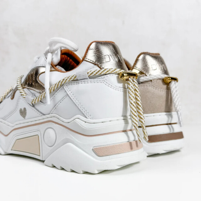 DWRS Label Jupiter J5554C-106 large