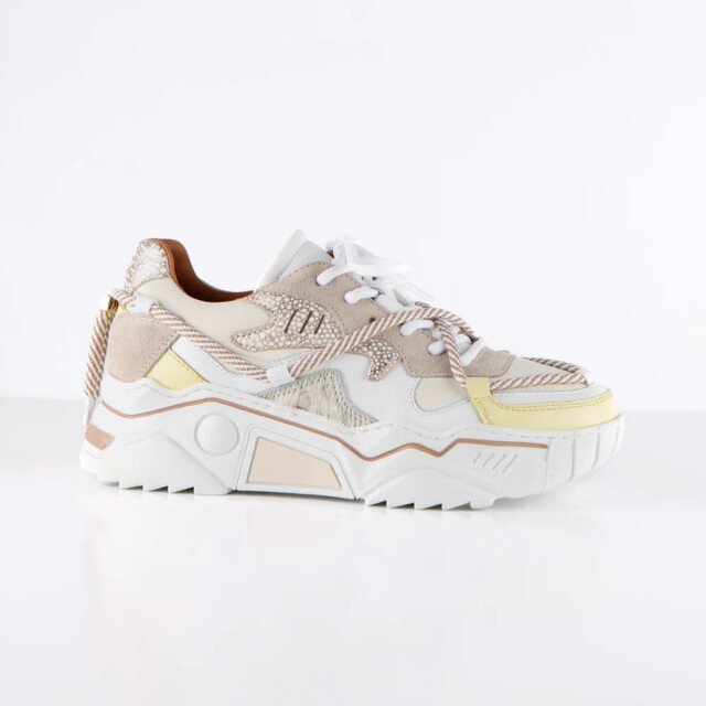 DWRS Label Jupiter J5554C-99 large