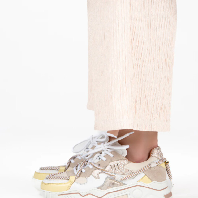 DWRS Label Jupiter J5554C-99 large