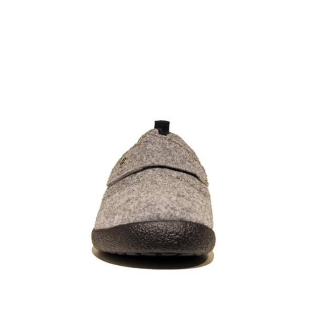 Rohde 2007 2007 large