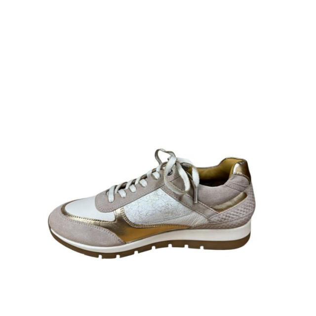 Helioform 281.008 h 281.008 H large