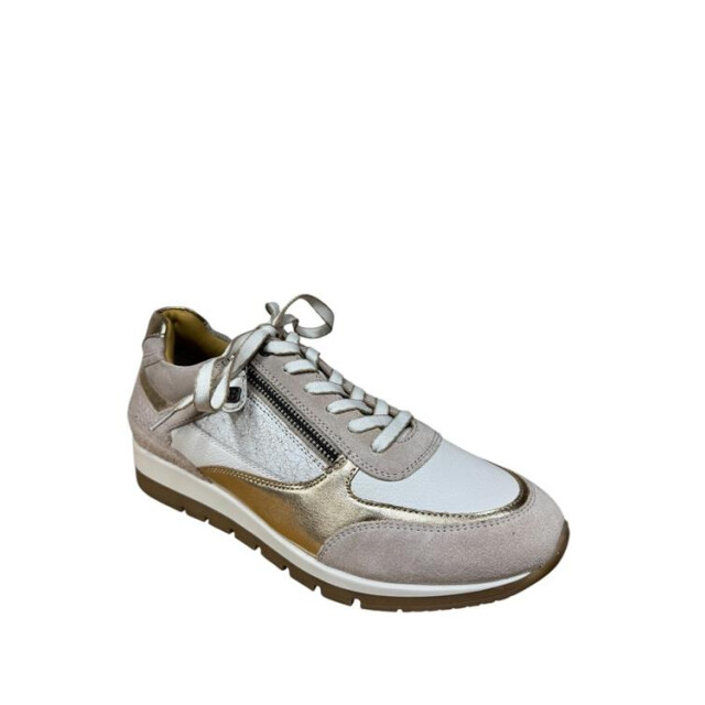 Helioform 281.008 h 281.008 H large