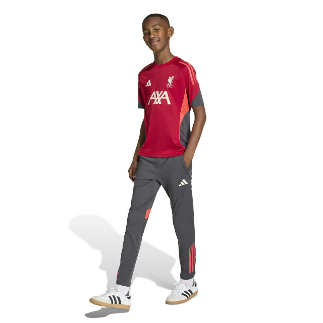 Adidas lfc tr jsy y replica voetbal trainingshirt korte mouw jongens - 073725_600-140 large