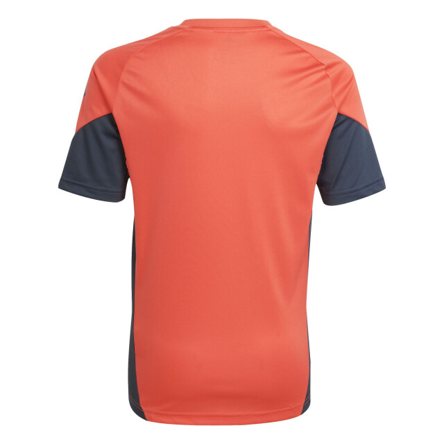 Adidas fcb tr jsy y replica voetbal trainingshirt korte mouw jongens - 069804_705-128 large