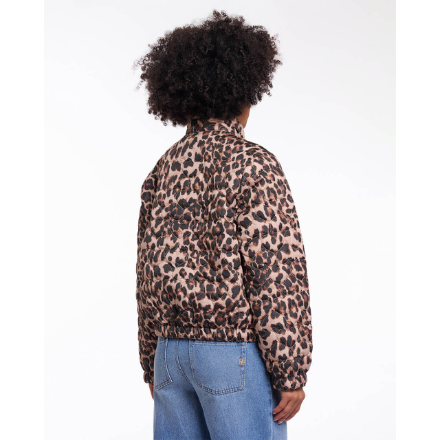 Rino & Pelle Jack aba.7012621 Rino & Pelle Jack Aba.7012621 large