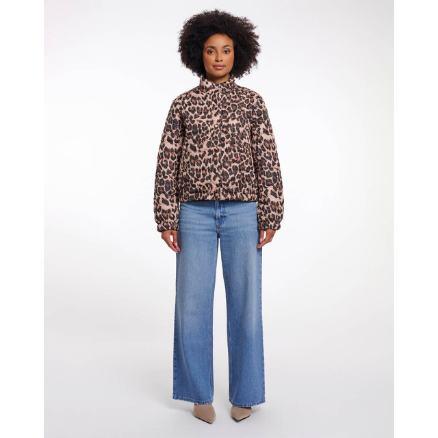 Rino & Pelle Jack aba.7012621 Rino & Pelle Jack Aba.7012621 large