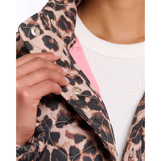 Rino & Pelle Jack aba.7012621 Rino & Pelle Jack Aba.7012621 large