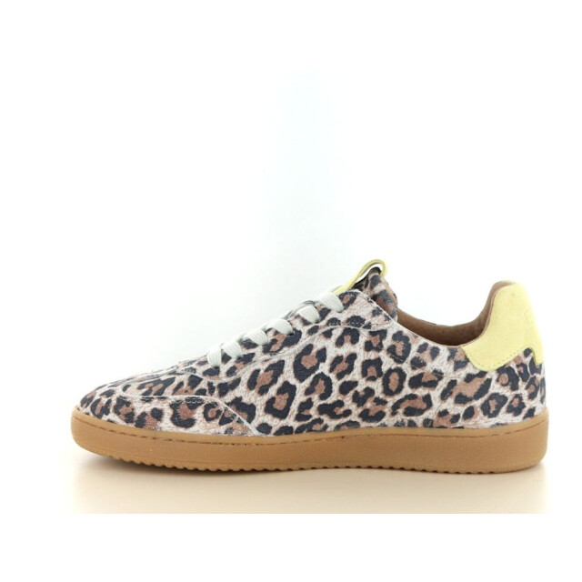 DWRS Label Poona leopard 237.39.021 large