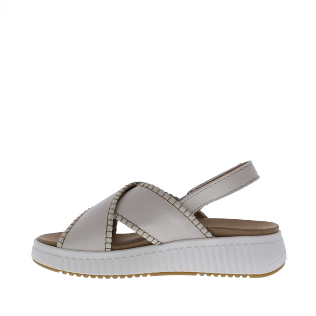 Cypres Zozan kruisband siersteek | maat: | | dames | leer 111066 large