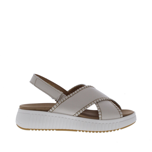 Cypres Zozan kruisband siersteek | maat: | | dames | leer 111066 large