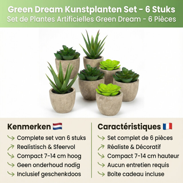 GreenDream ® 6 stuks kunstplanten nep planten vetplanten cadeautip 3493478 large