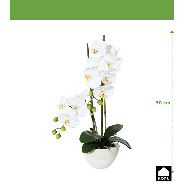 Kopu ® kunstbloem orchidee 50 cm met cement sierpot phalenopsis 3059495 large