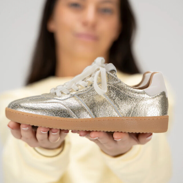 DWRS Label Poona crackled B11456-51 large