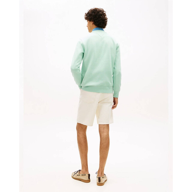 Tommy Hilfiger Sweatshirt mw0mw11596 Tommy Hilfiger Sweatshirt MW0MW11596 large