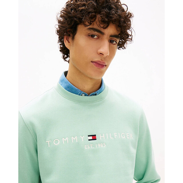 Tommy Hilfiger Sweatshirt mw0mw11596 Tommy Hilfiger Sweatshirt MW0MW11596 large