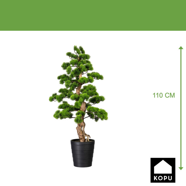 Kopu ® bonsai dennen boom ca. 110x50 cm in een zwarte plastic pot 3494535 large