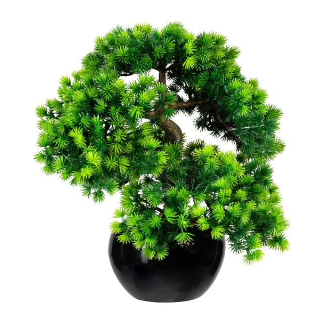Kopu ® kunstplant bonsai lariks 26 cm met zwarte pot bonsai boompje 2612740 large
