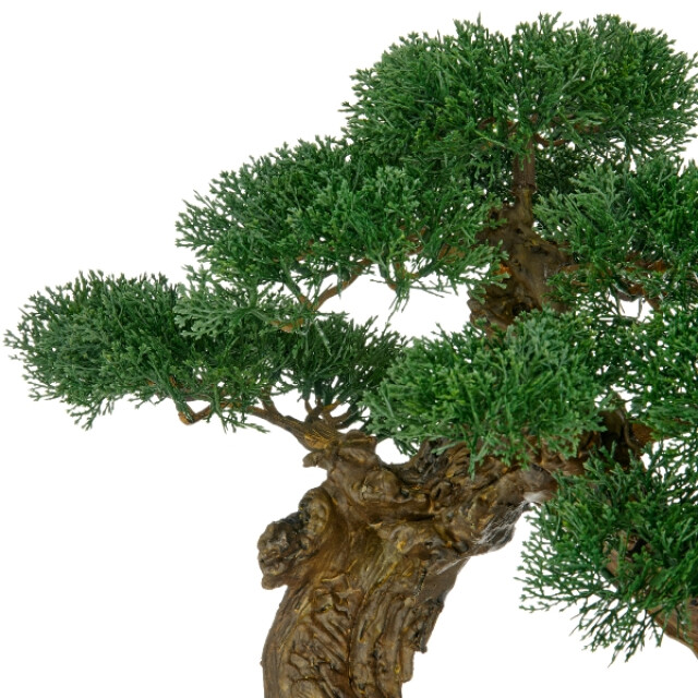 Kopu ® kunstplant bonsai ceder 80x60cm met zwarte pot bonsai boom 3494179 large