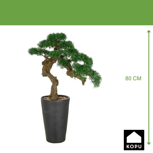Kopu ® kunstplant bonsai ceder 80x60cm met zwarte pot bonsai boom 3494179 large