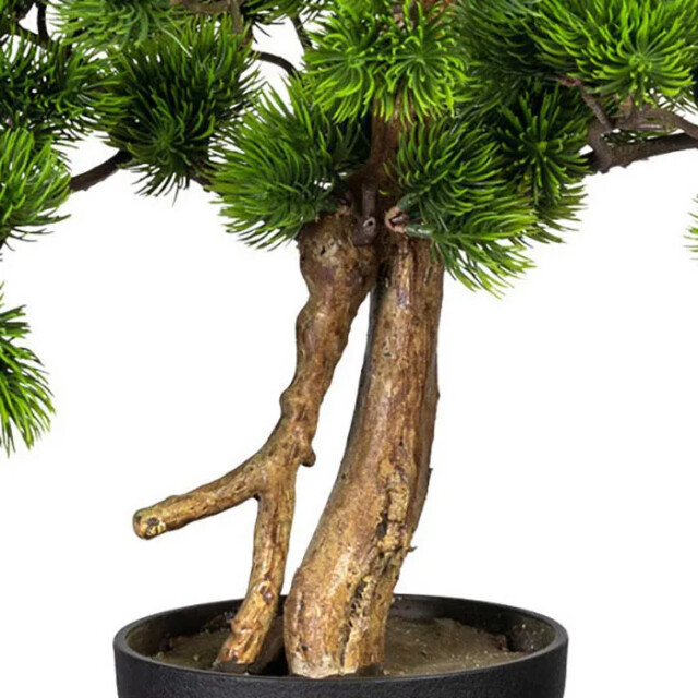 Kopu ® bonsai dennen boompje ca. 60x40 cm met zwarte sierpot 3494534 large