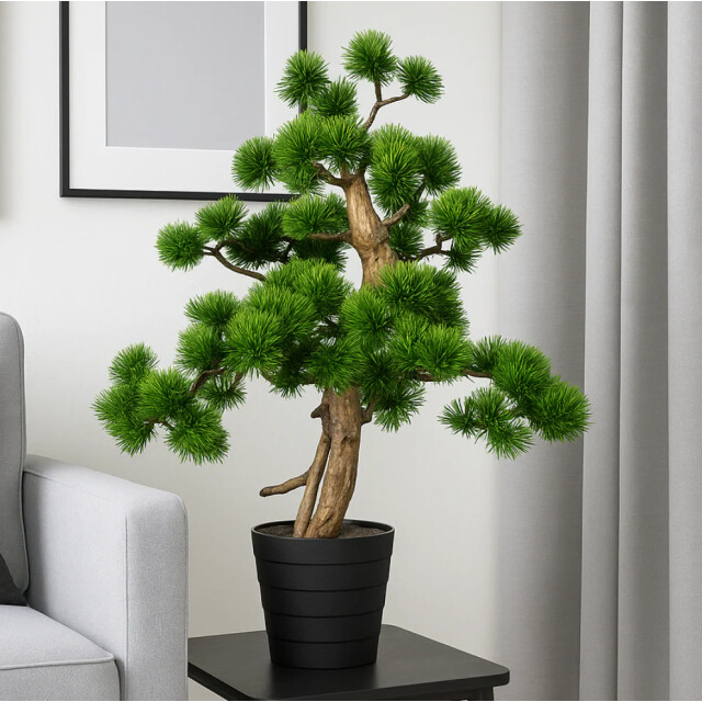 Kopu ® bonsai dennen boompje ca. 60x40 cm met zwarte sierpot 3494534 large