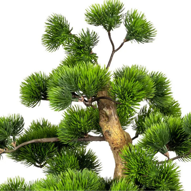 Kopu ® bonsai dennen boompje ca. 60x40 cm met zwarte sierpot 3494534 large