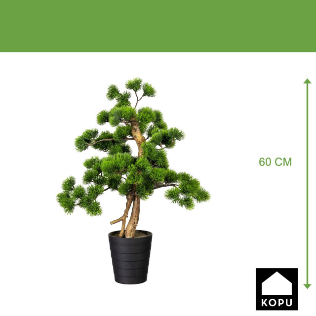 Kopu ® bonsai dennen boompje ca. 60x40 cm met zwarte sierpot 3494534 large