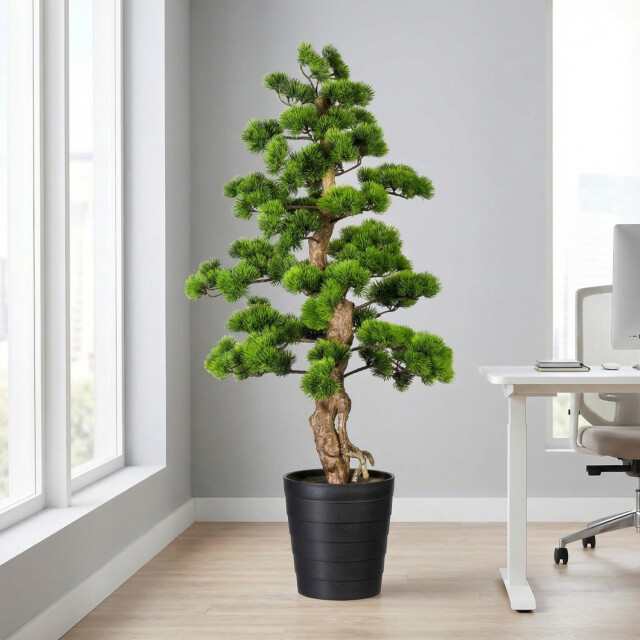 Kopu ® bonsai dennen boom ca. 140 cm in een zwarte plastic pot 3494536 large