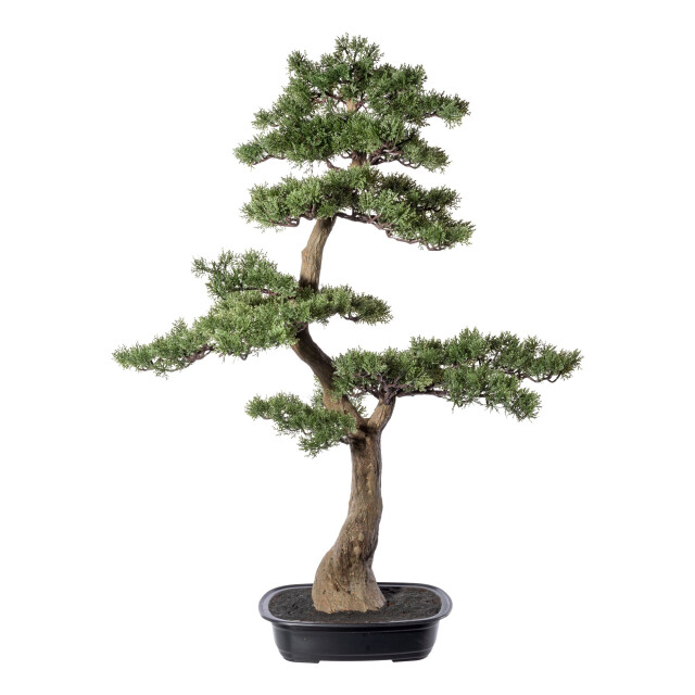 Kopu ® kunstplant bonsai ceder ca. 100x60 cm in zwarte plastic pot 3495623 large
