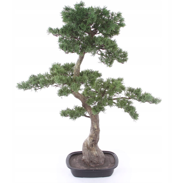 Kopu ® kunstplant bonsai ceder ca. 100x60 cm in zwarte plastic pot 3495623 large